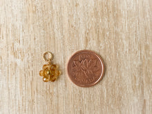 Load image into Gallery viewer, Charms 1