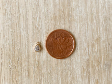 Load image into Gallery viewer, Charms 2