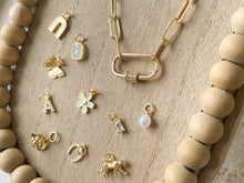 Load image into Gallery viewer, Carabiner Necklace