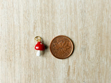 Load image into Gallery viewer, Charms 2