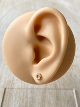 Load image into Gallery viewer, Babies Breath