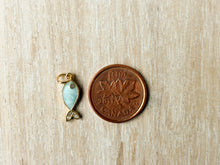 Load image into Gallery viewer, Charms 2