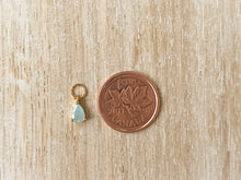 Load image into Gallery viewer, Charms 1