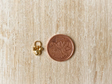 Load image into Gallery viewer, Charms 1