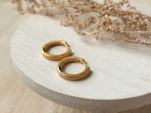Load image into Gallery viewer, Tori Hoops