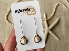 Load image into Gallery viewer, Calypso Coast