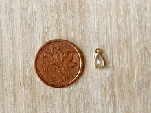 Load image into Gallery viewer, Charms 1