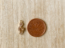 Load image into Gallery viewer, Charms 2