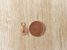 Load image into Gallery viewer, Charms 1