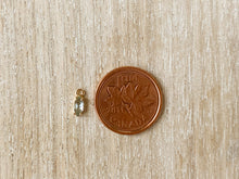 Load image into Gallery viewer, Charms 2