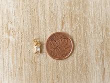 Load image into Gallery viewer, Charms 1