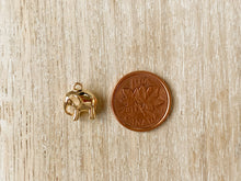 Load image into Gallery viewer, Charms 2