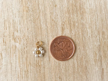 Load image into Gallery viewer, Charms 1