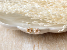 Load image into Gallery viewer, Babies Breath