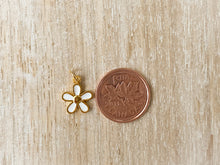 Load image into Gallery viewer, Charms 1