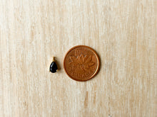 Load image into Gallery viewer, Charms 2