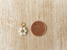 Load image into Gallery viewer, Charms 1