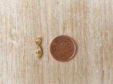 Load image into Gallery viewer, Charms 1