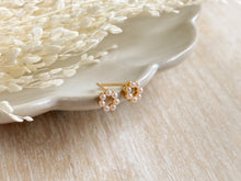 Load image into Gallery viewer, Babies Breath