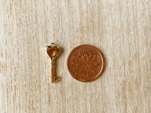 Load image into Gallery viewer, Charms 2