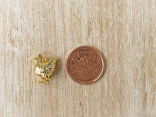 Load image into Gallery viewer, Charms 1