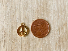 Load image into Gallery viewer, Charms 2