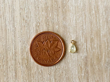 Load image into Gallery viewer, Charms 1