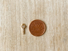 Load image into Gallery viewer, Charms 2