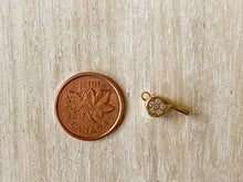 Load image into Gallery viewer, Charms 1