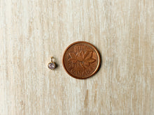 Load image into Gallery viewer, Charms 2