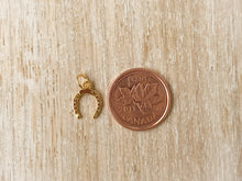 Load image into Gallery viewer, Charms 1