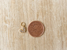 Load image into Gallery viewer, Charms 1