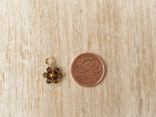 Load image into Gallery viewer, Charms 1