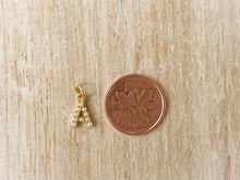 Load image into Gallery viewer, Charms 1