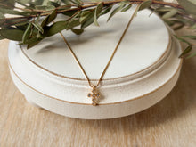 Load image into Gallery viewer, Deliverer Necklace
