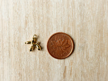 Load image into Gallery viewer, Charms 2
