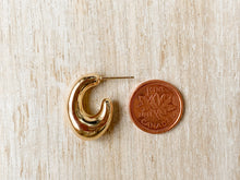 Load image into Gallery viewer, Honey Hoops
