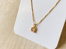 Load image into Gallery viewer, The Rodeo Necklace
