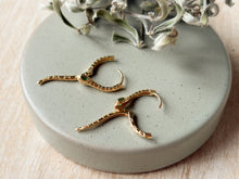 Load image into Gallery viewer, Serpentine Hoops
