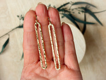 Load image into Gallery viewer, Cypress
