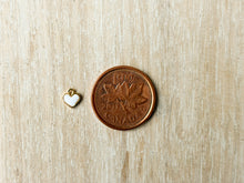 Load image into Gallery viewer, Charms 2
