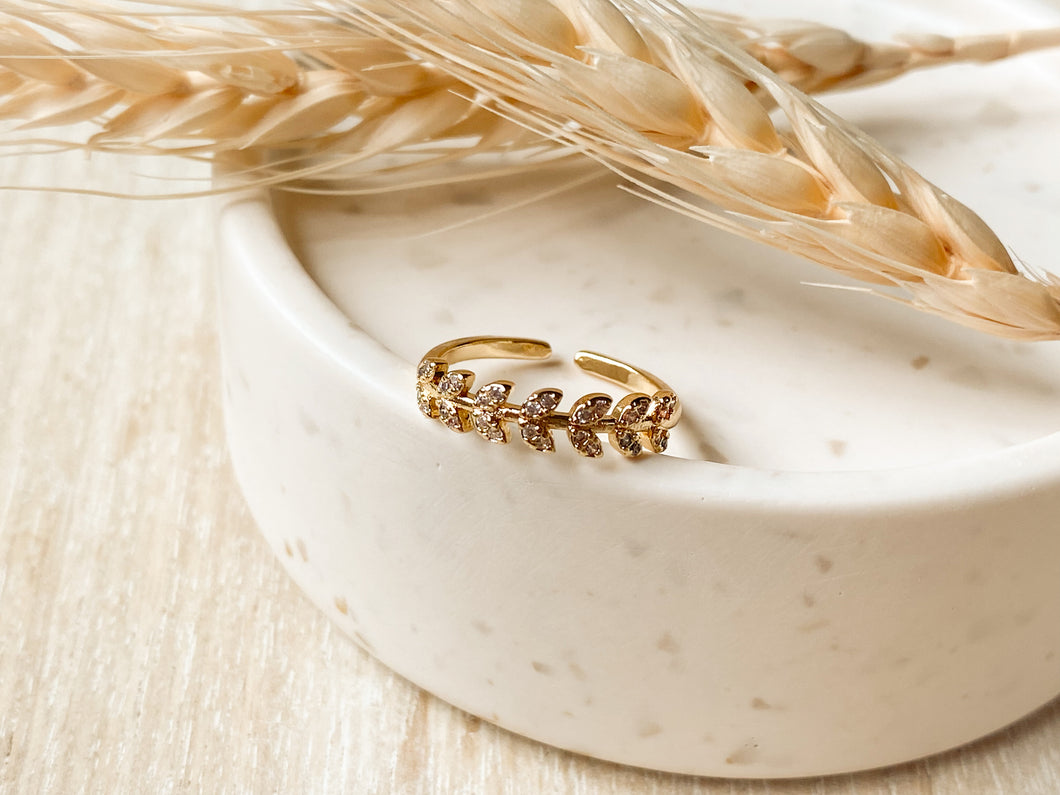 Ceres Ring