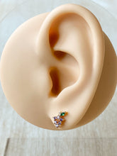 Load image into Gallery viewer, Berrylicious Studs
