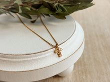 Load image into Gallery viewer, Deliverer Necklace
