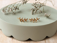 Load image into Gallery viewer, The Fern
