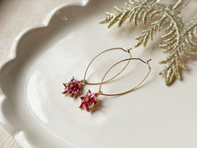 Load image into Gallery viewer, Frosted Poinsettia
